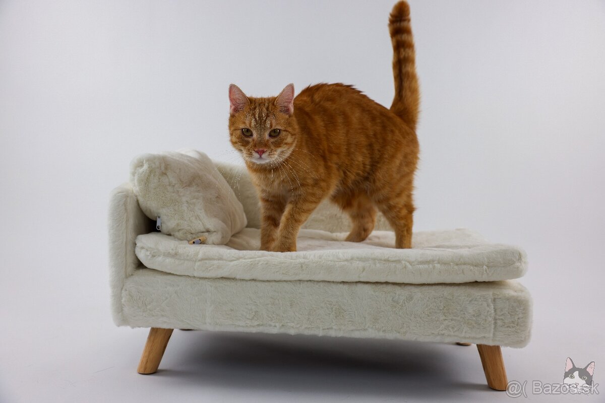 Kocúrik VLADKO hľadá domov - 6