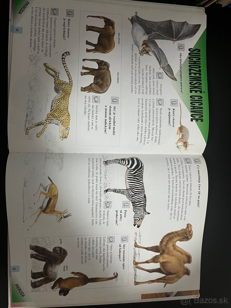 Veľká kniha otázok a odpovedí - 6