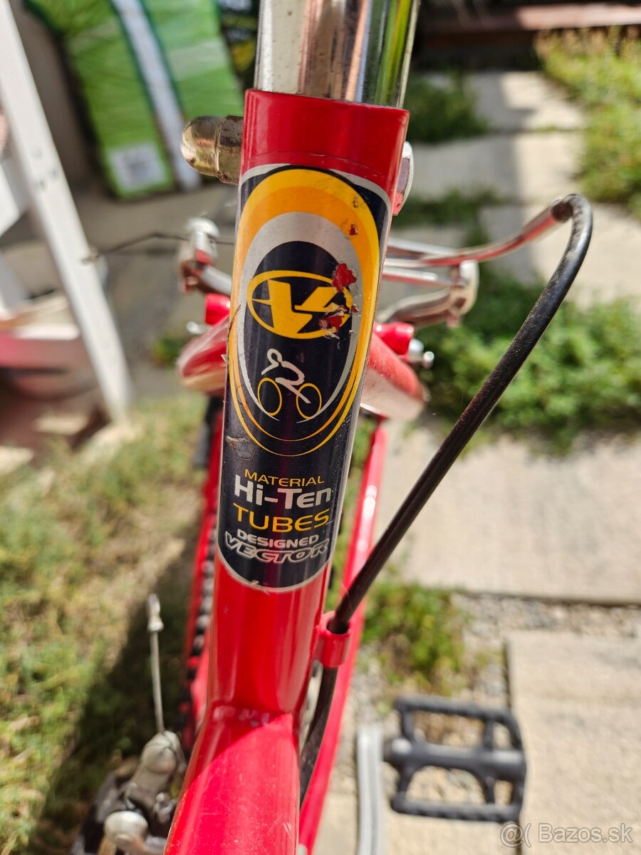 Dievčenský bike Vector Mirage - 6