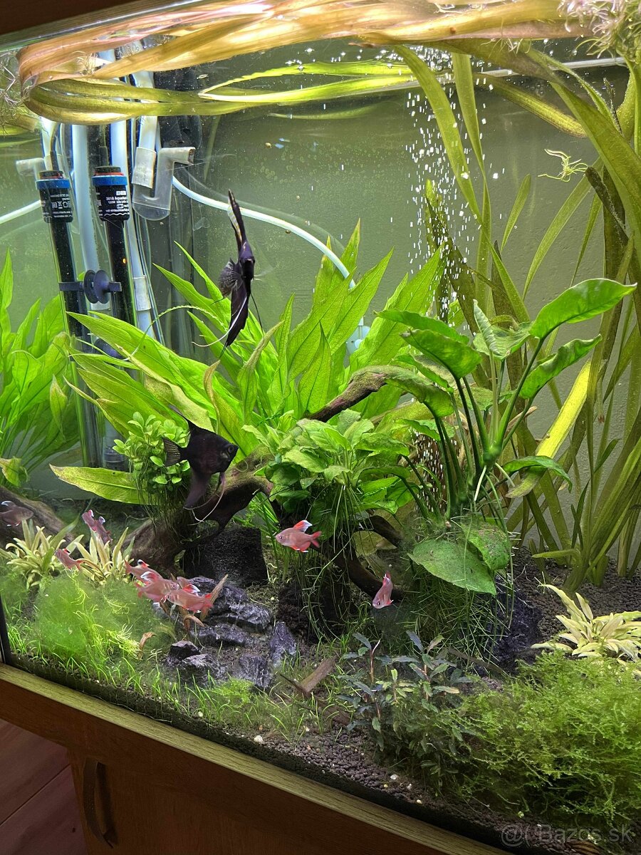 Komplet akvarium 150L - 6