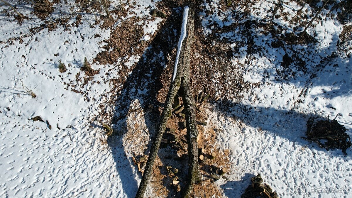 Predám dosku na krájanie / Denko, Lopár 17 /. - 6