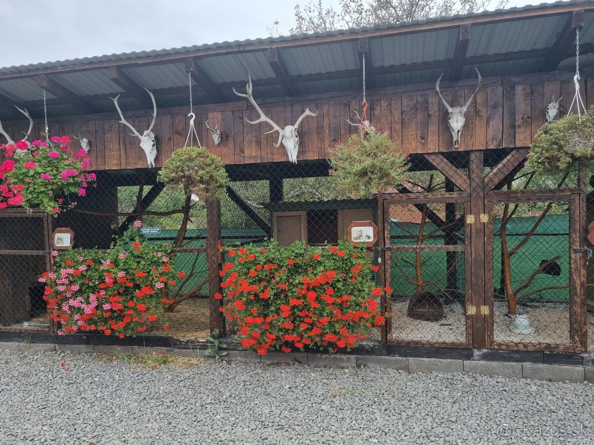 Voliery , klietky - 6