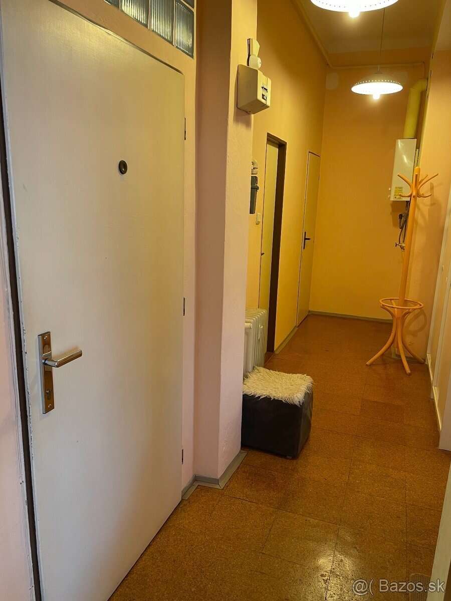 Prenajom velkeho 2 izboveho bytu - 6