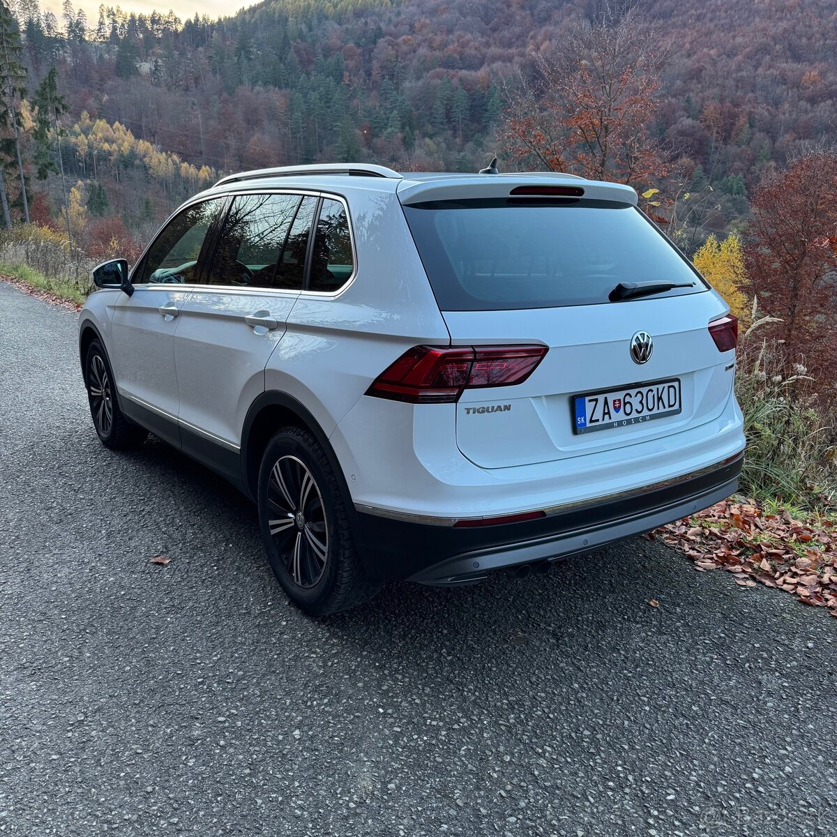 Volkswagen Tiguan 2.0 TDi 4MOTION DSG WEBASTO - 6