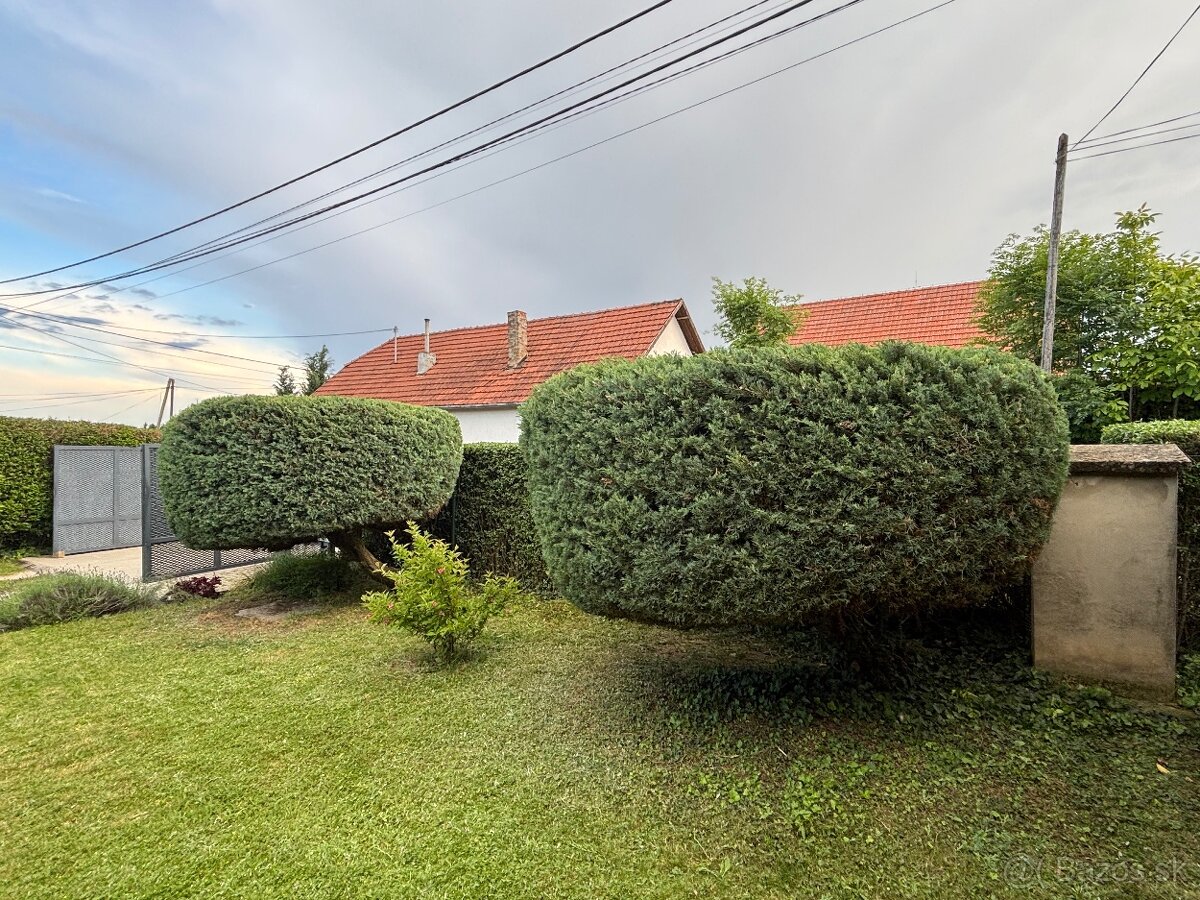 Úprava záhrad a živých plotov, vypiľovanie tují, kosenie - 6