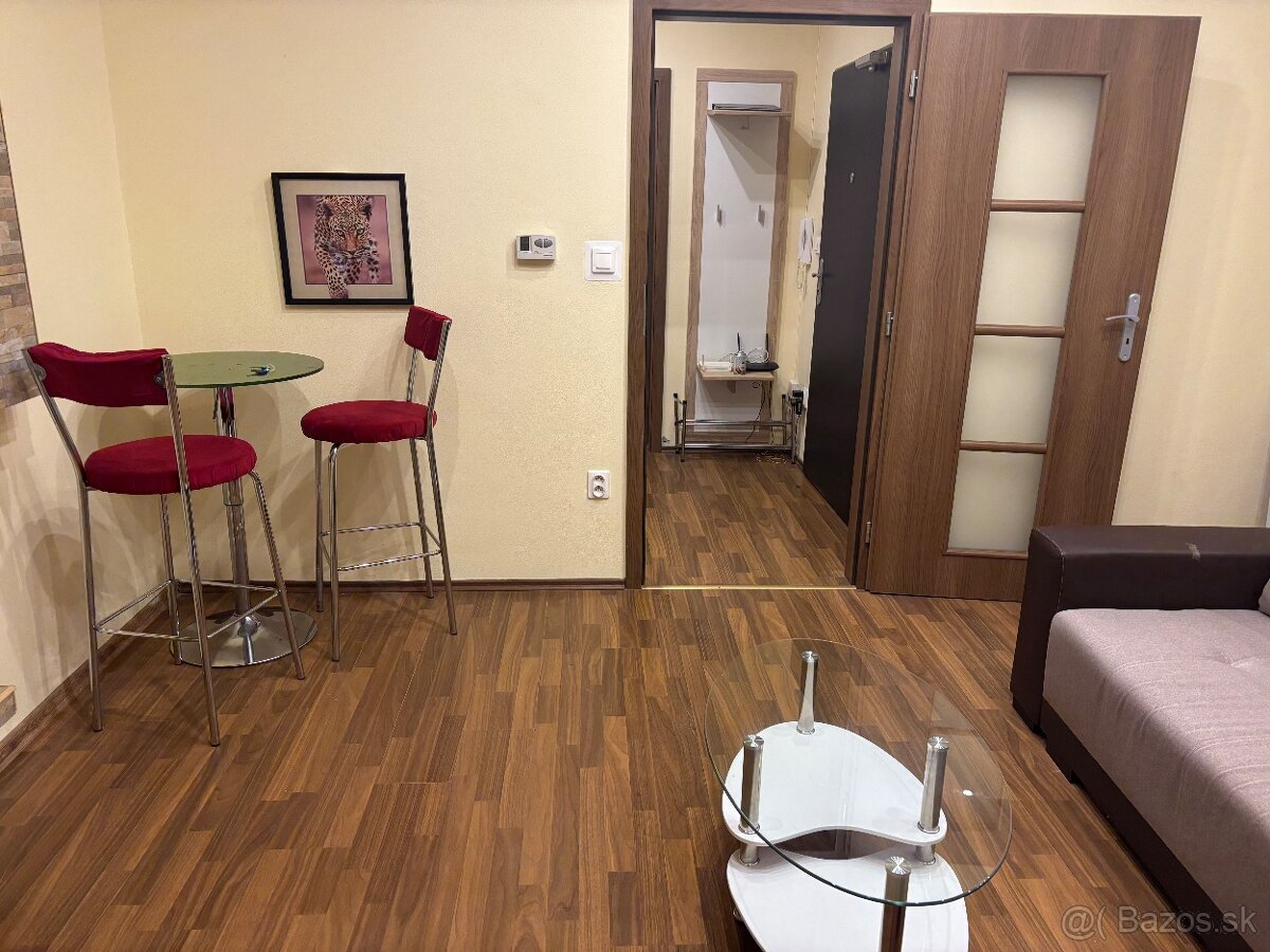 Ponúkam na Prenájom 1-izbový byt - 6
