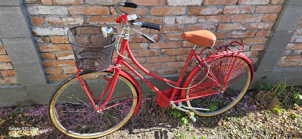 Strary retro bicykel - 6