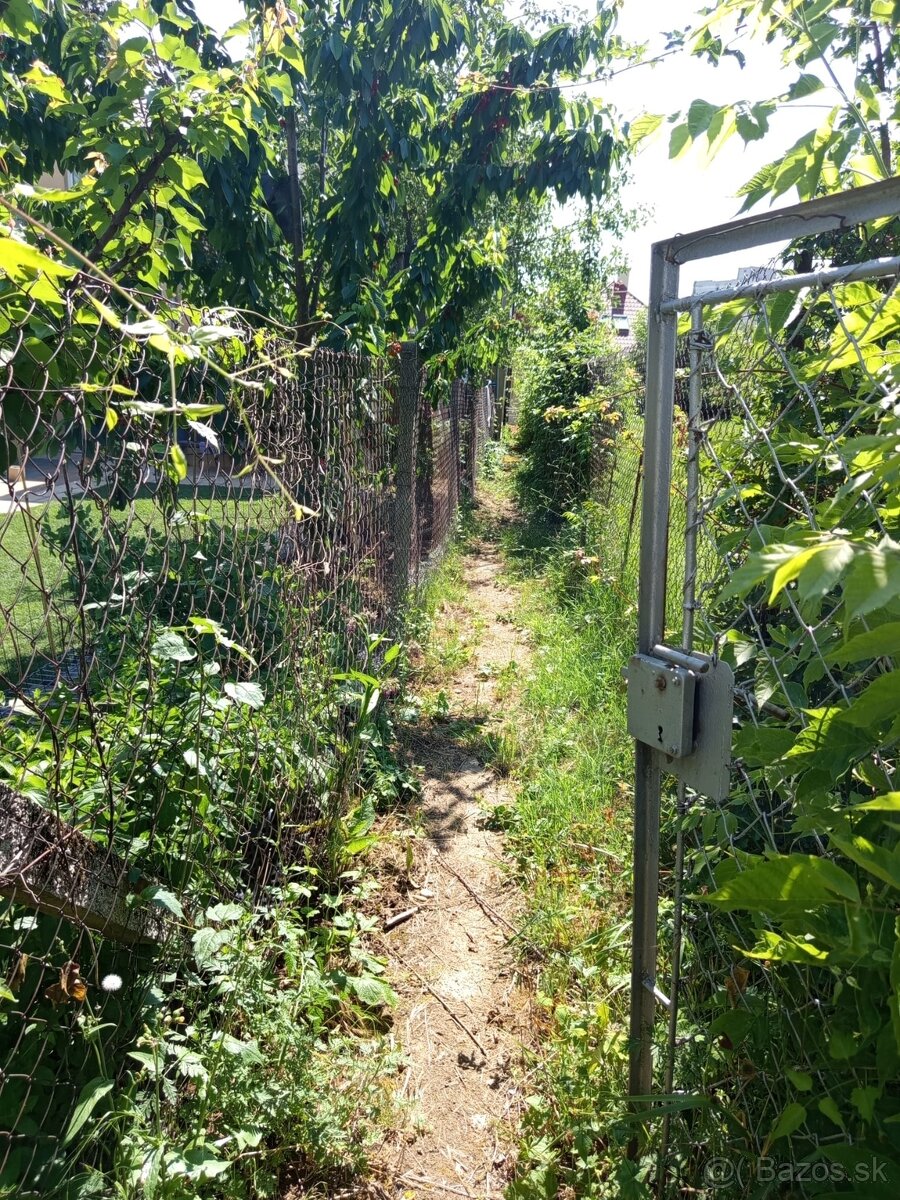 🏡🌿 STAVEBNÝ POZEMOK NA PREDAJ – CENTRUM OBCE LEVICE 🌿🏡 - 6