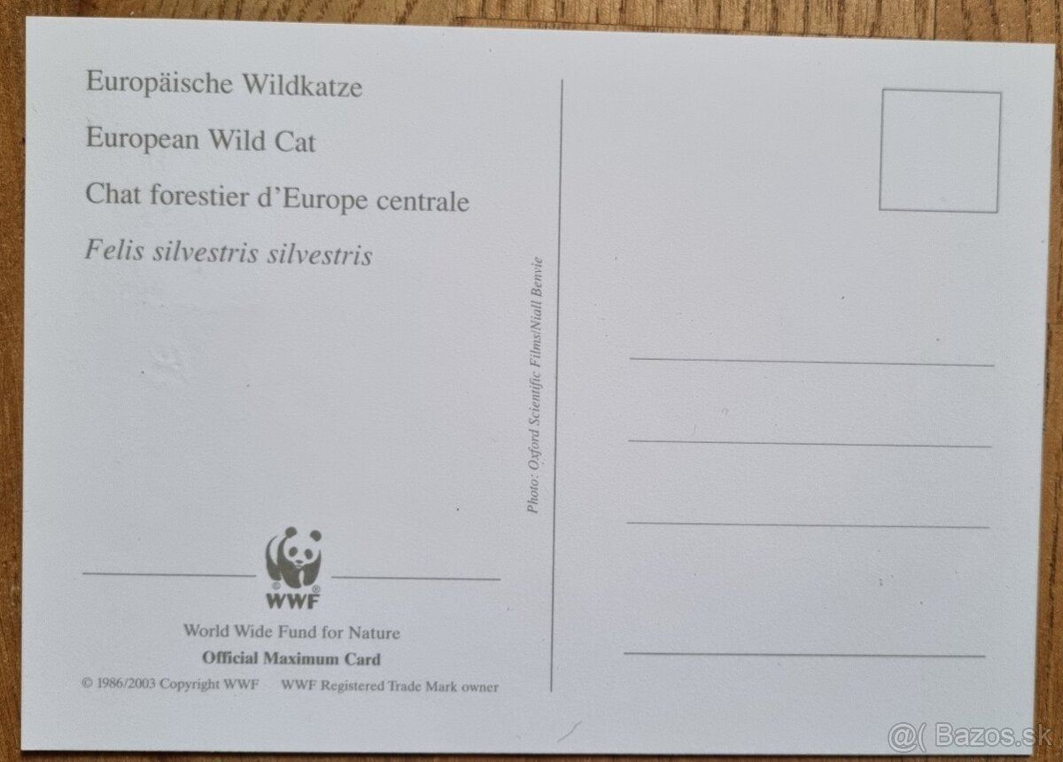 2003 WWF divoke macky sada carte maxima, obrazove pohladnice - 6
