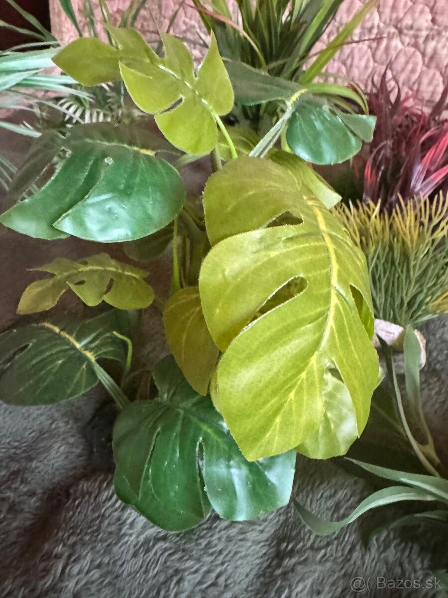 Dekoracia do akvaria & teraria 8€ / ks - 6