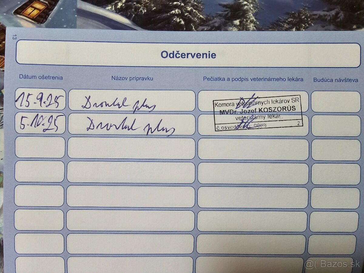 Golden Retriever - 6