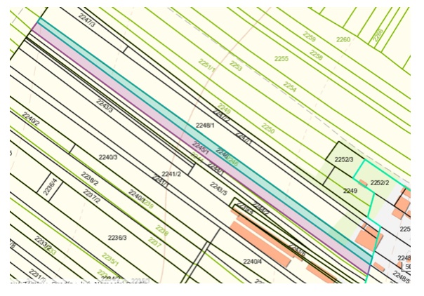 EXKLUZÍVNE – Orná pôda so stromami Paulownia tomentosa - 6