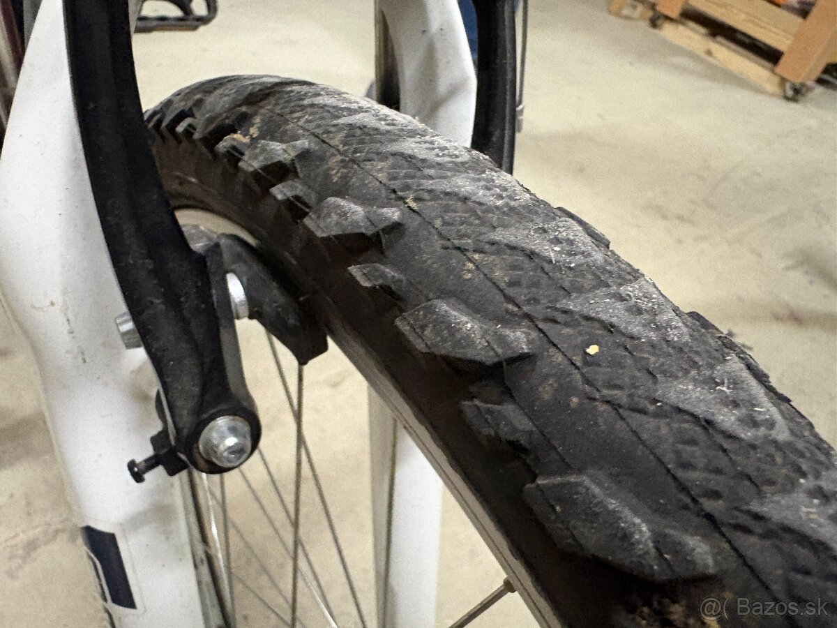 Alpina ECO - horský bicykel - 6