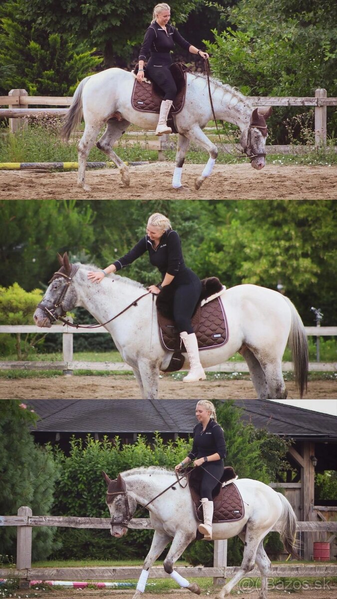 Všestranný Appaloosa na predaj - 6