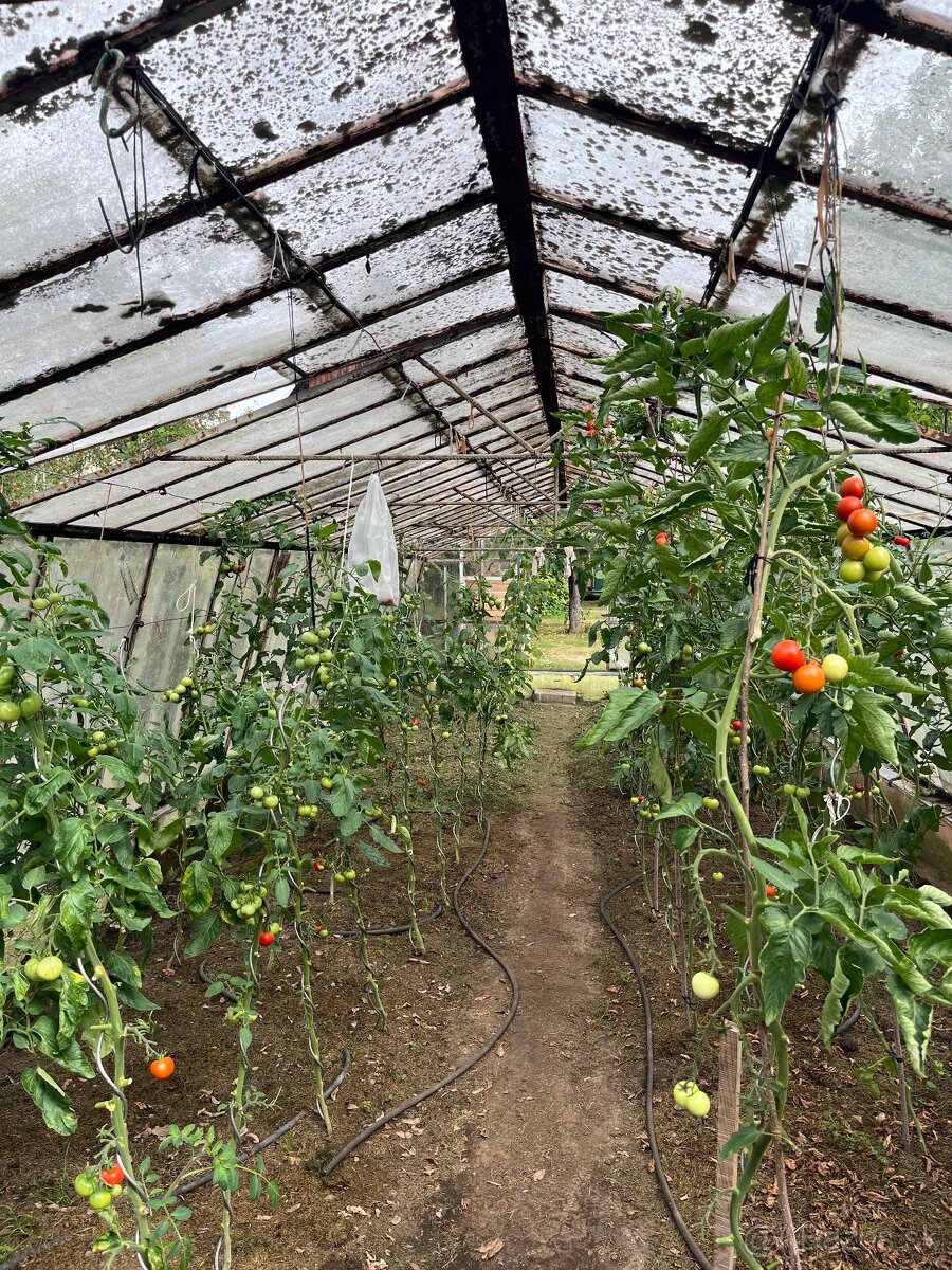 Predám skleník 11x4x2 bm. - 6