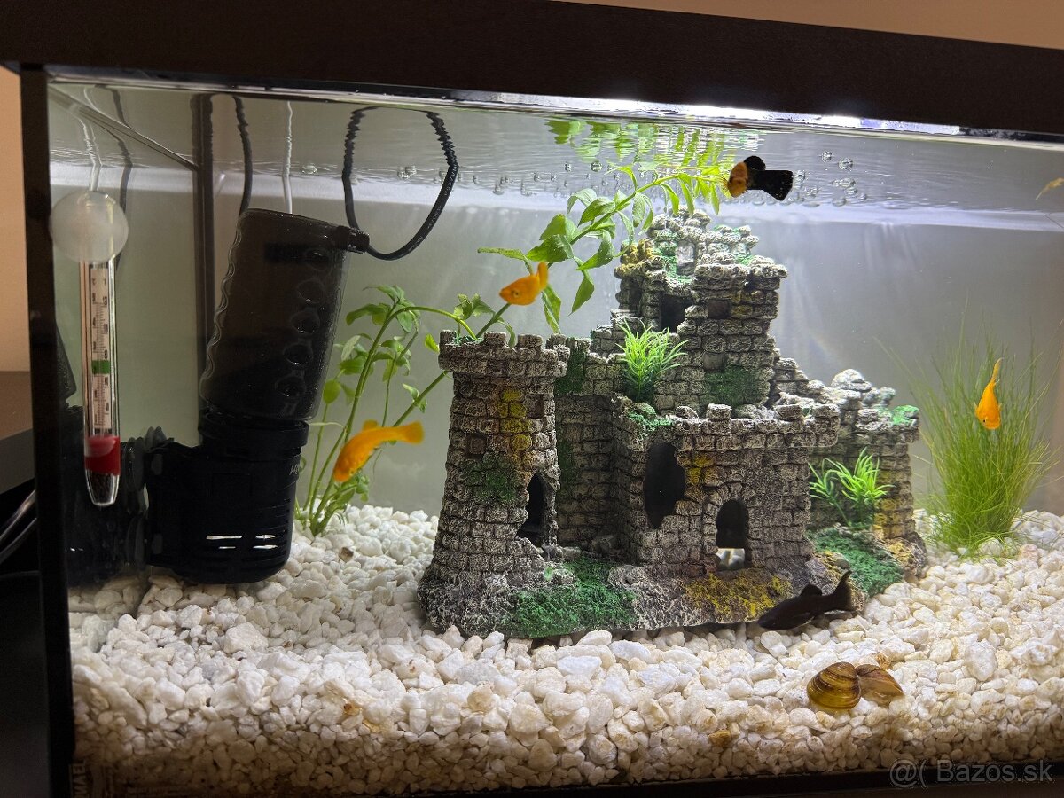 Predám komplet akvárium - 6