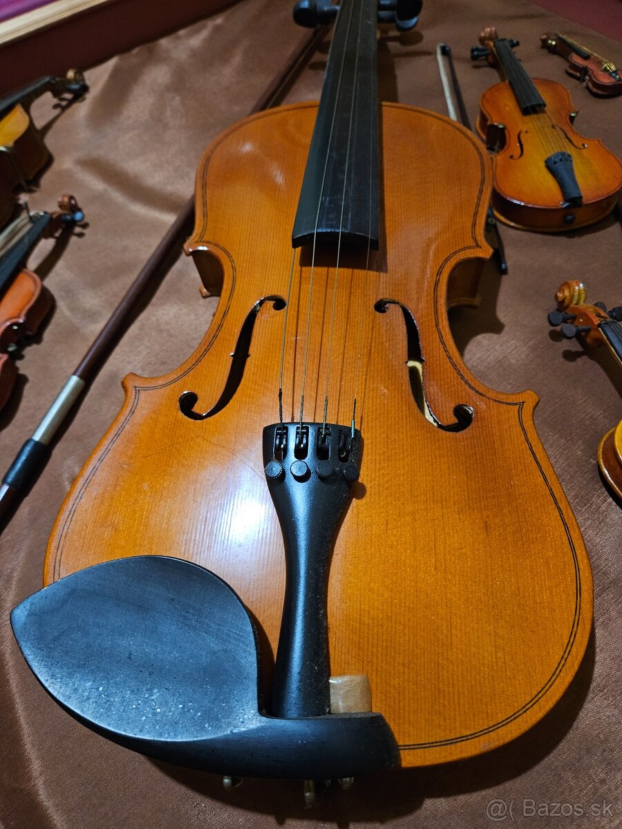 Obraz z husli - 6