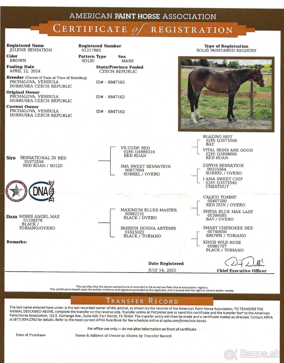 SLEVA, All around klisna APH (VS CodeRed) - 6