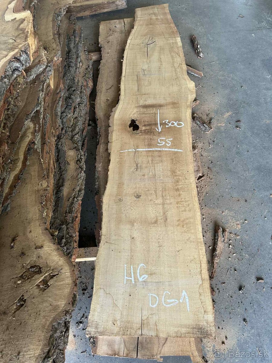 dubové fošne, dub letný, dub - 6