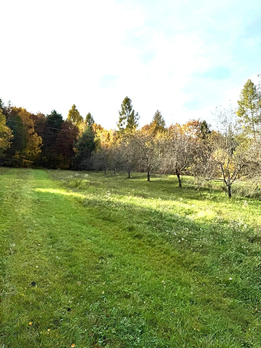 Rodinný dom / chata / 4683 m² - 6