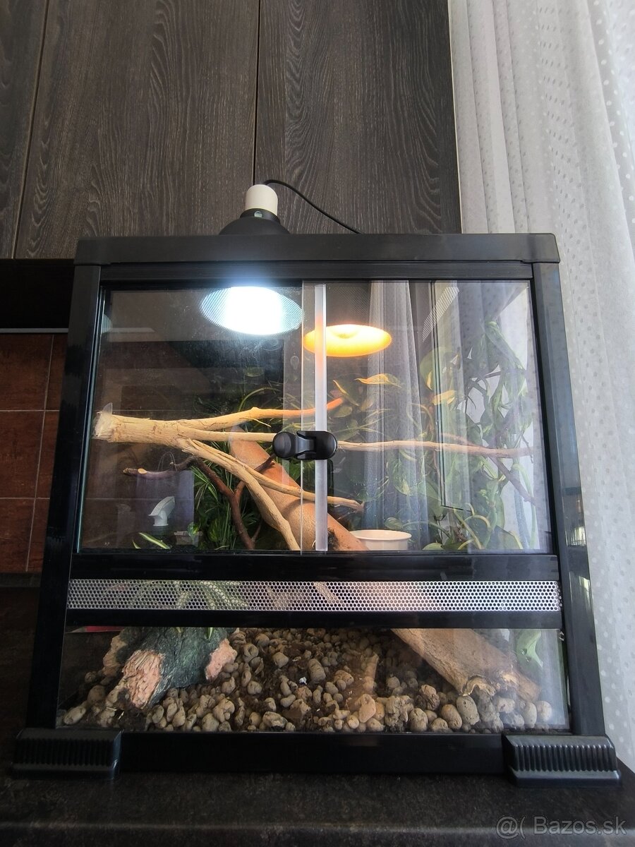 Terarium 46x46x46 - 6