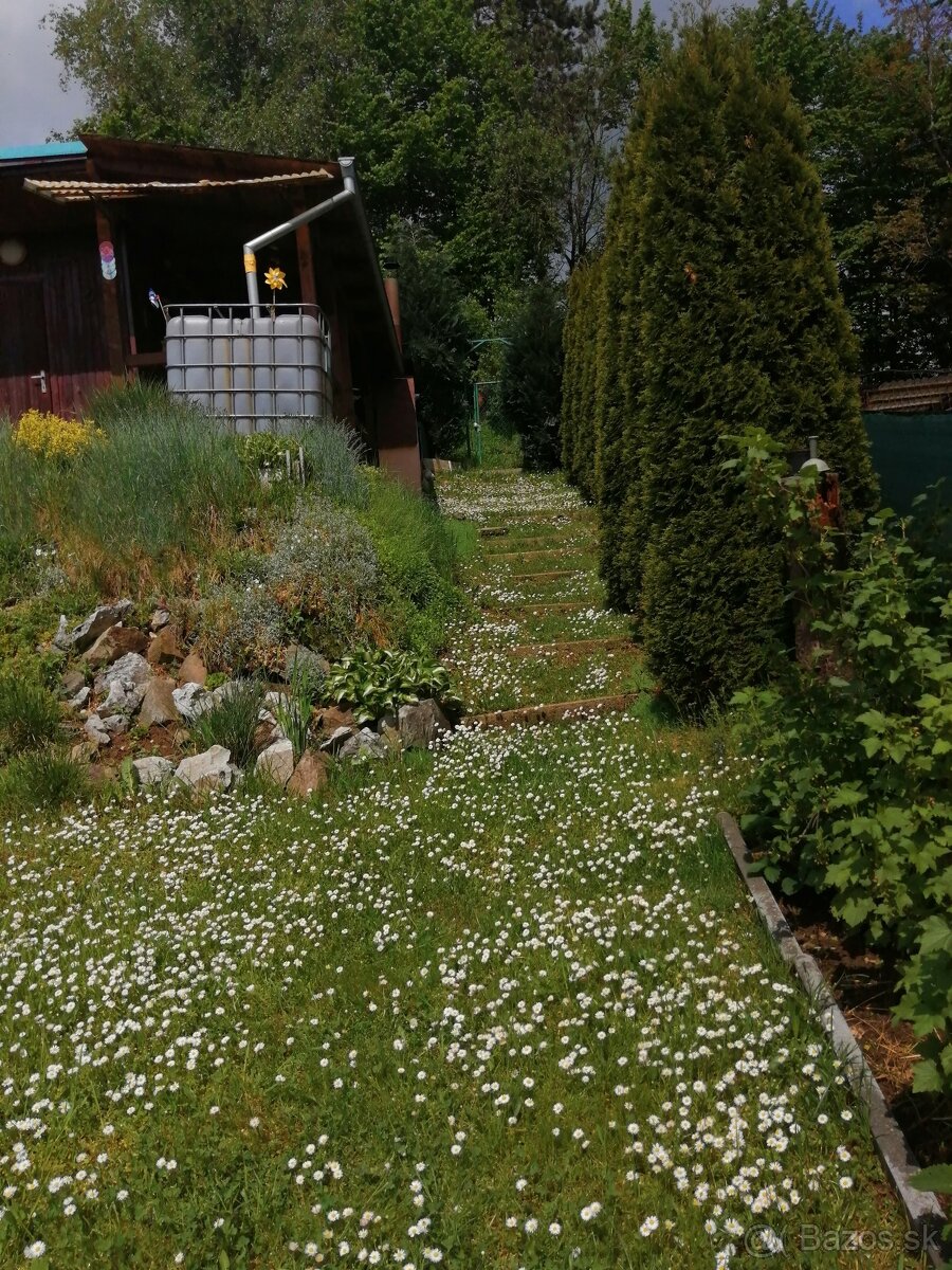 Udržiavaná záhrada s chatkou nad Bagroviskom – 448 m² - 6