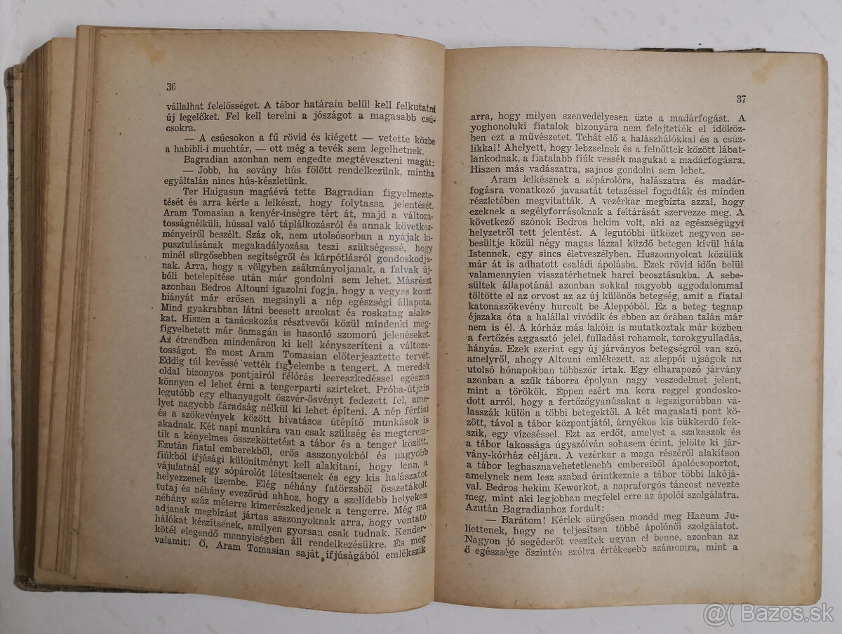 Musa Dagh negyven napja I-II - 6