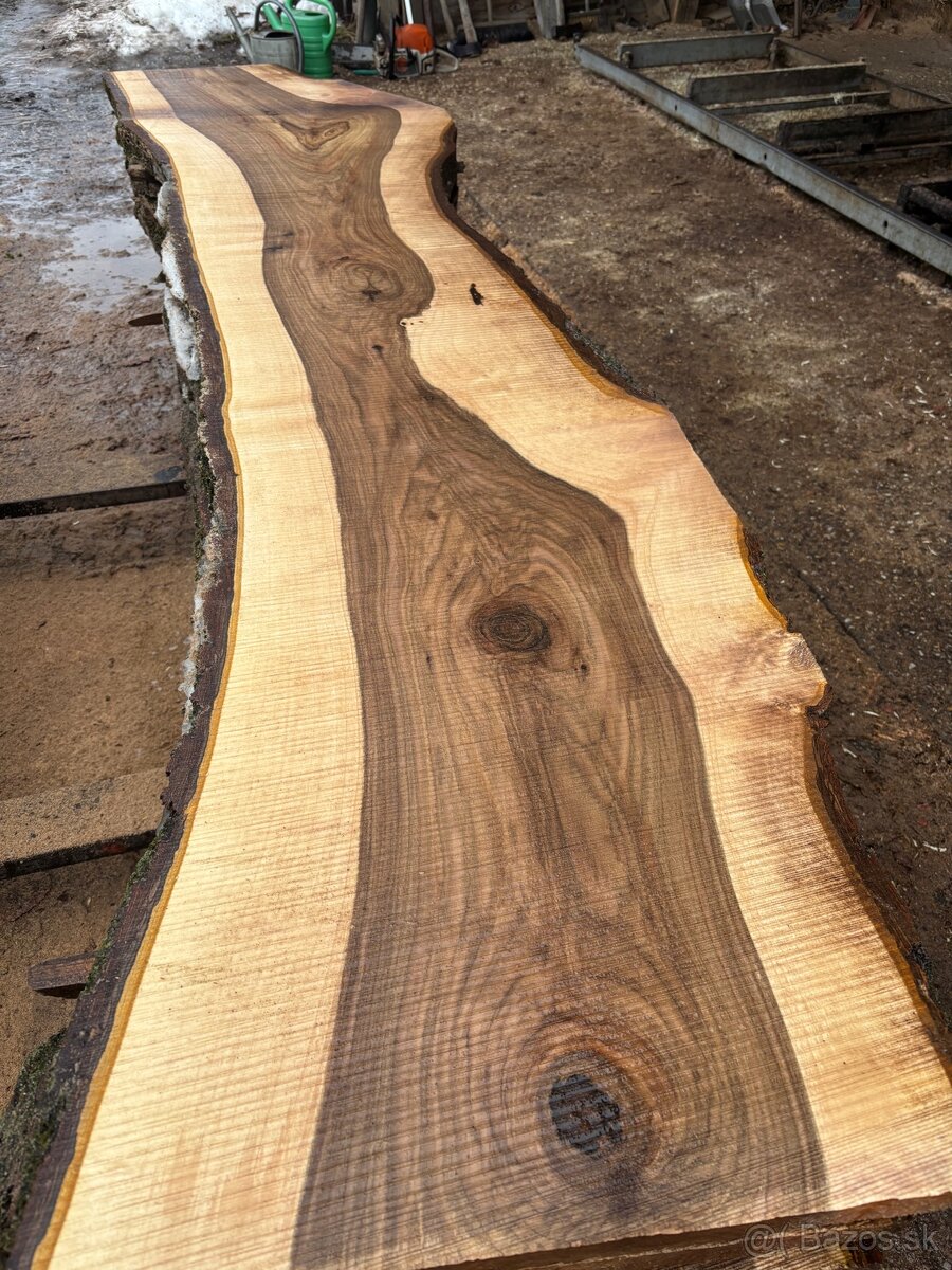 Rezivo Orech Orechové Fošne - 6