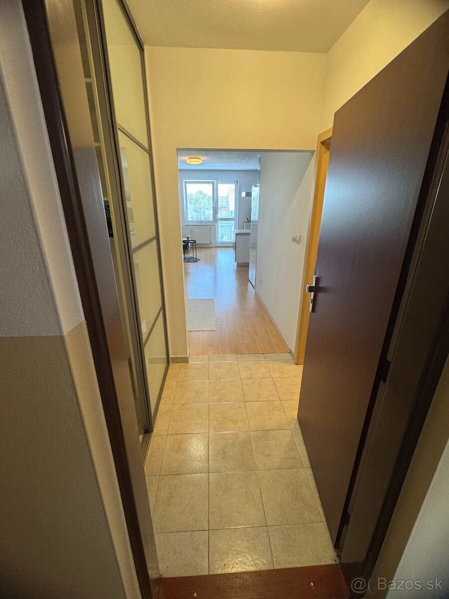 Priestranný 1-izbový byt s balónom a parkovacím státim - 6
