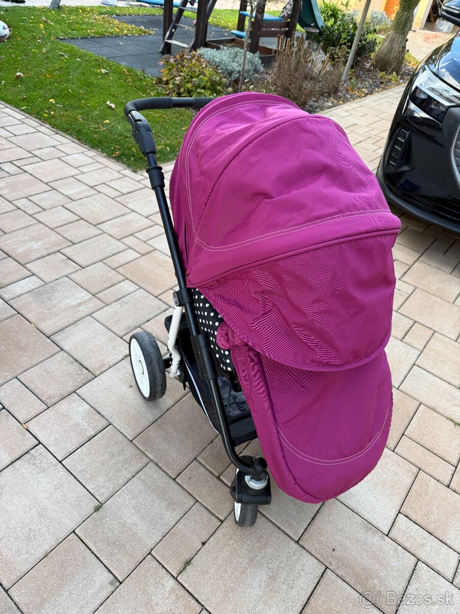 Sportovy kocik teutonia - 6