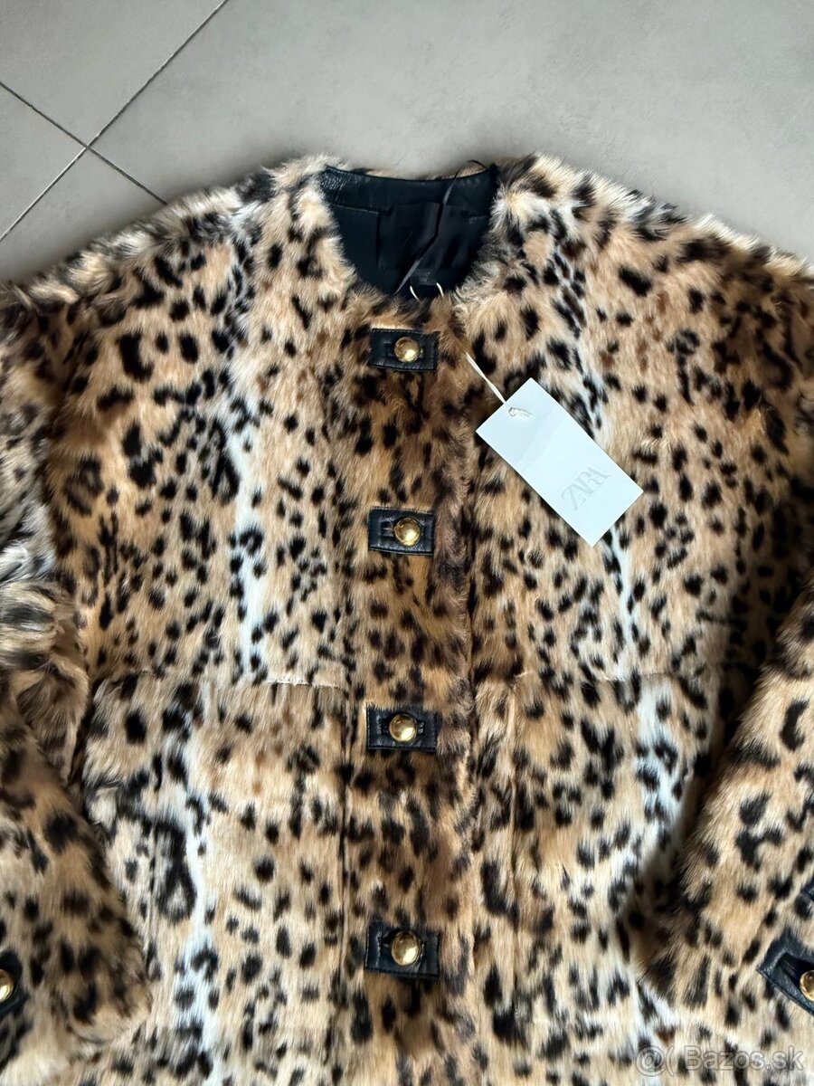 Zara kozuch c. M - 6