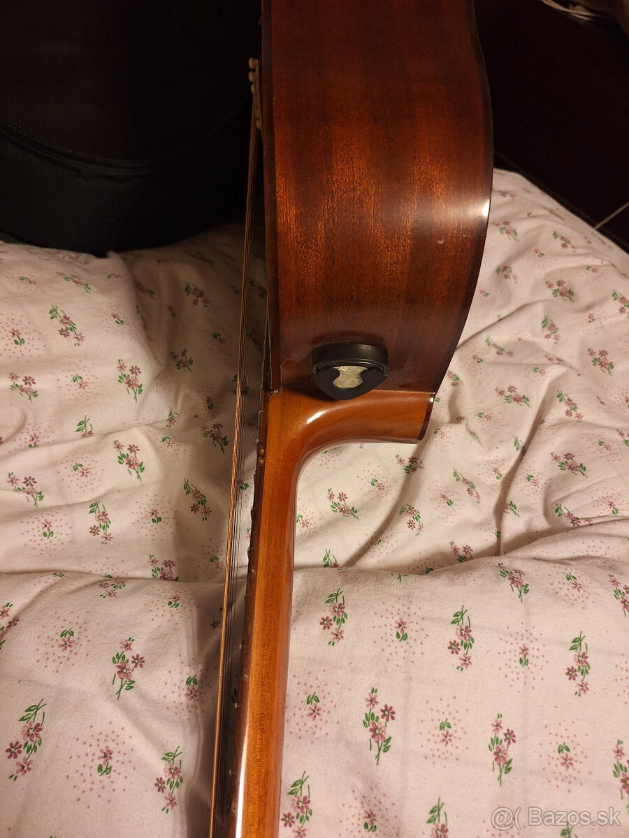 gitara Dowina - 6