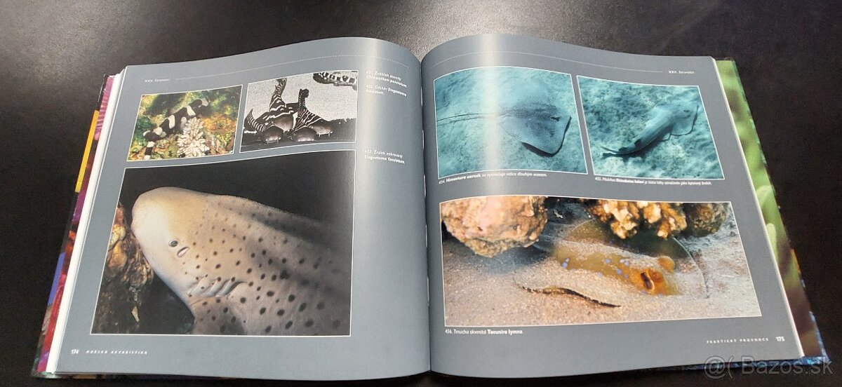 Kniha Morská akvaristika - sprievodca - 6