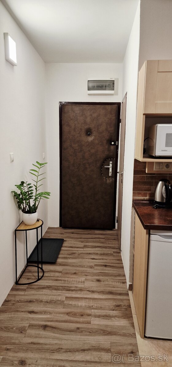 Garsónka na prenájom - 6