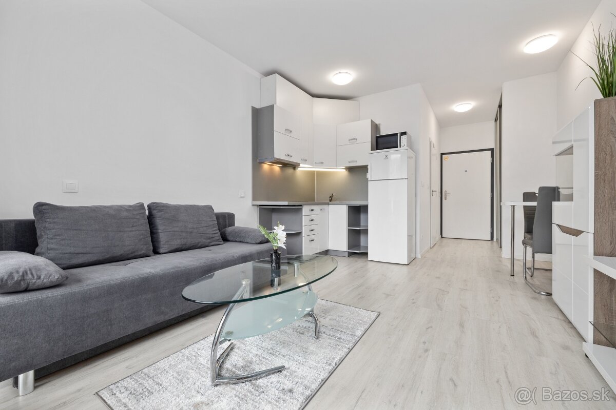 Na prenájom 1-izbový byt v Slnečniciach – Bratislav - 6