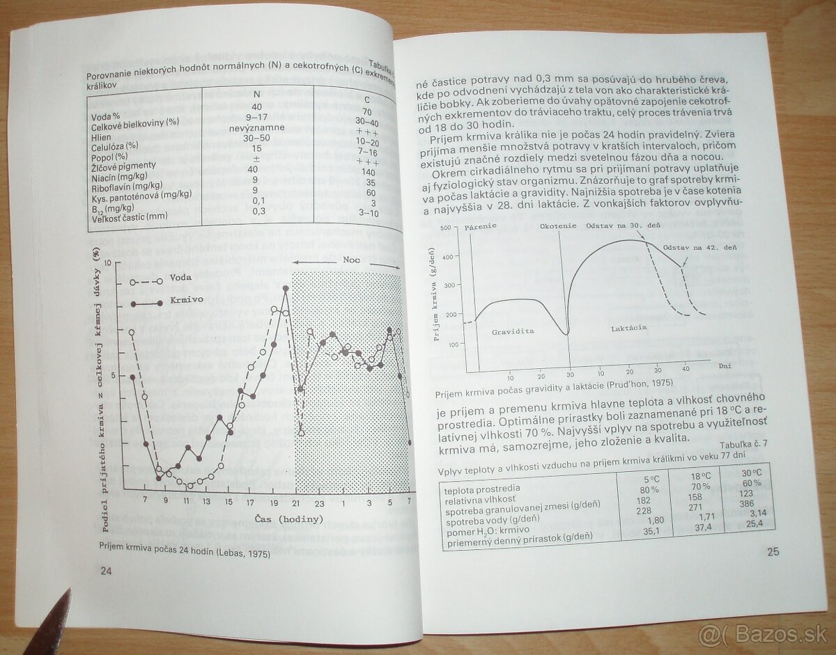 Intenzívny chov brojlerových králikov - 6