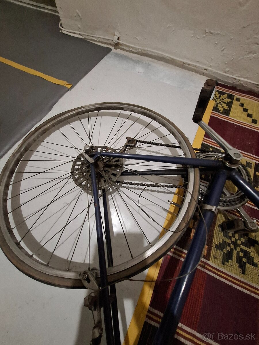 Favorit zavodnicka - 6