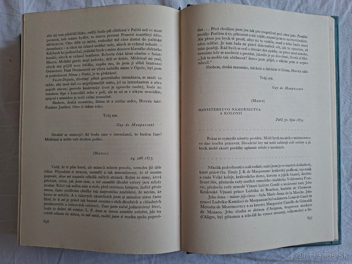 Neděle pařížského měšťáka - Guy de Maupassant - 6