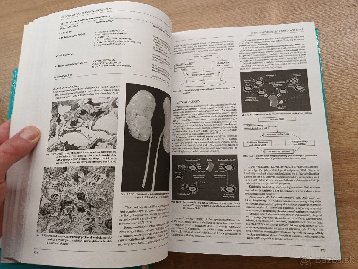 Pediatria I.,II., 1998 - 6