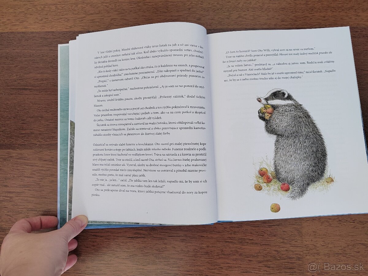 Oto a tajomné vianočné svetlo - NOVÁ - 6