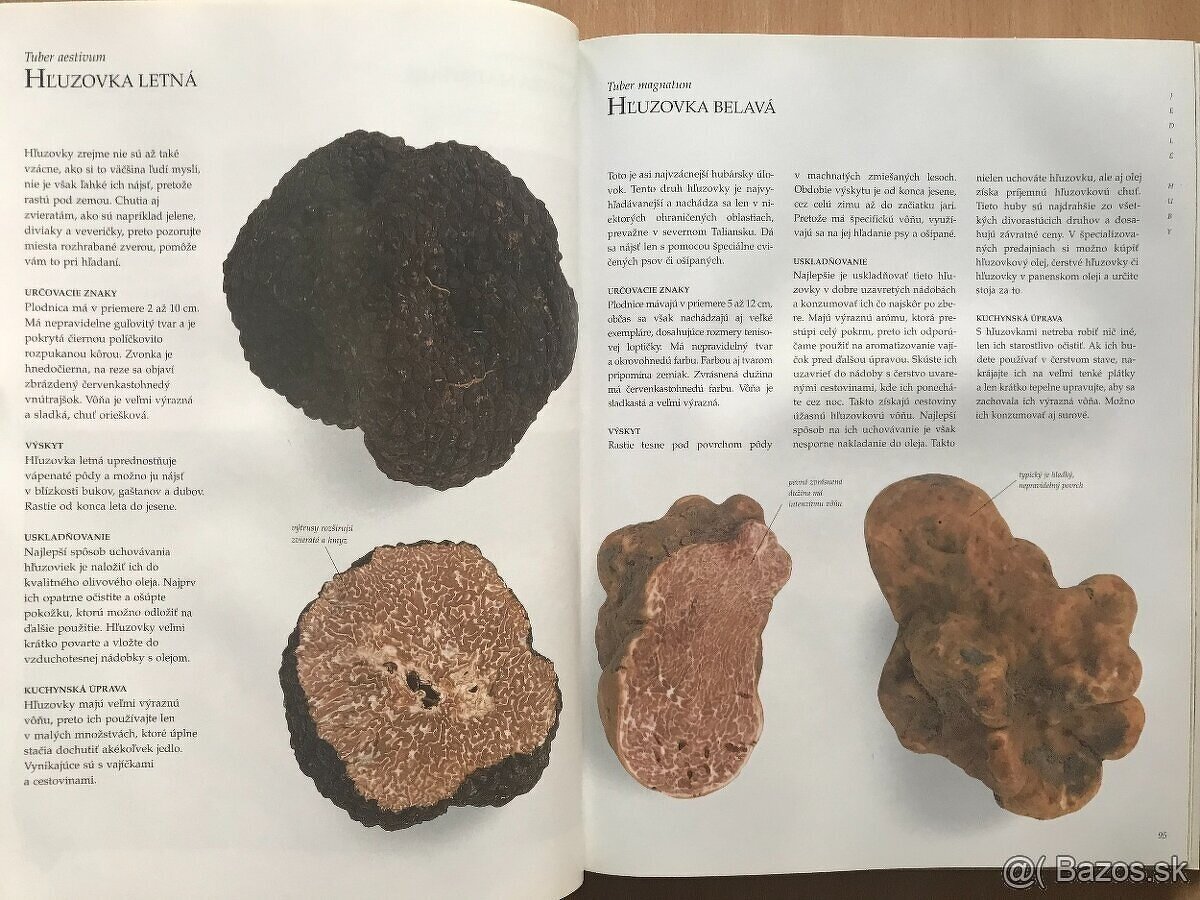 Peter Jordan: Veľká kniha o hubách - 6