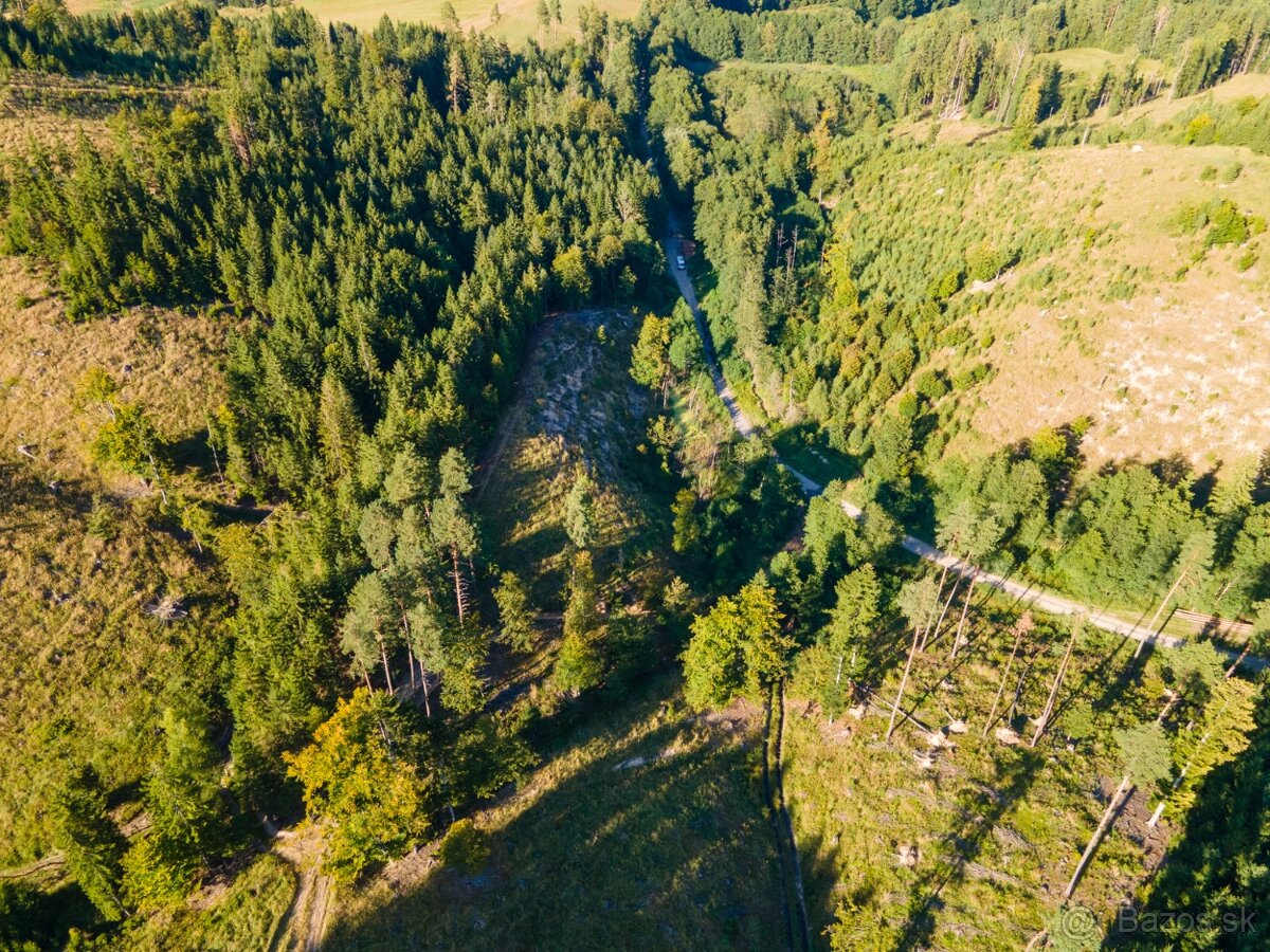 HOSPODÁRSKY LES V OBCI BUDIŠ V OKRESE TURČIANSKE TEPLICE - 6