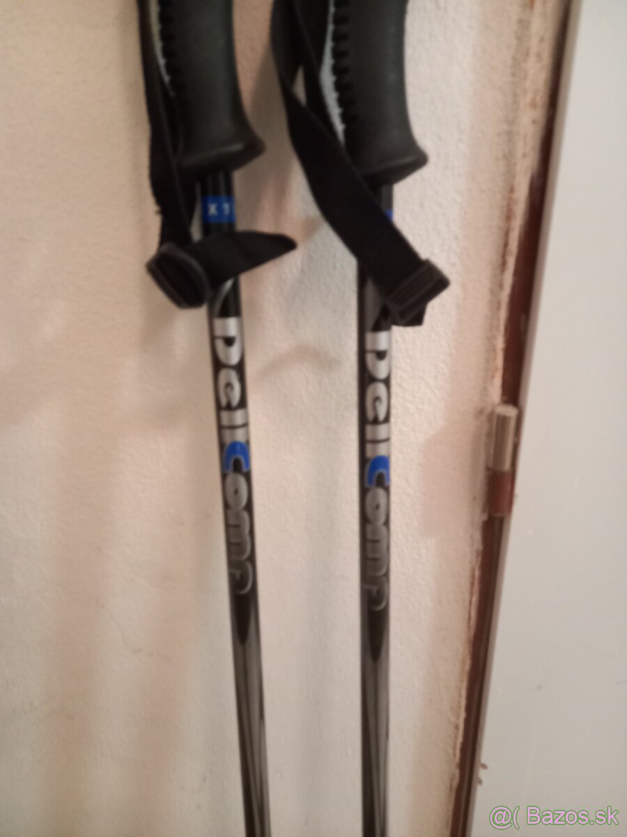 Pánske Lyže,lyžiarky a palice - 6