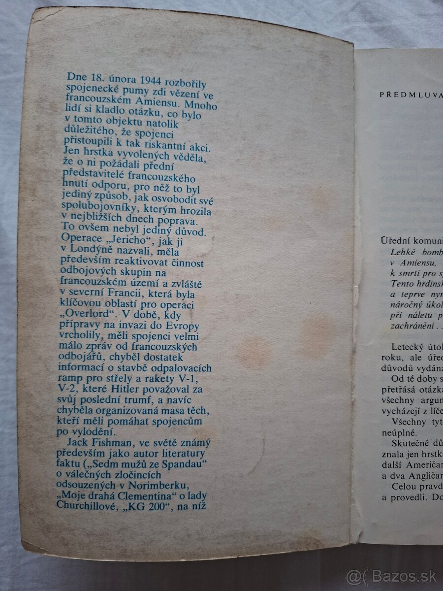 A zdi se hroutily - Jack Fishman - 6