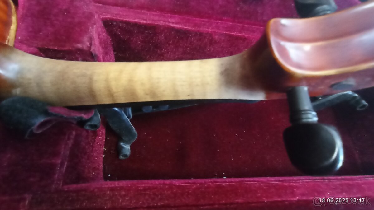 PREDAM OROFESIONALNU VIOLU - 6