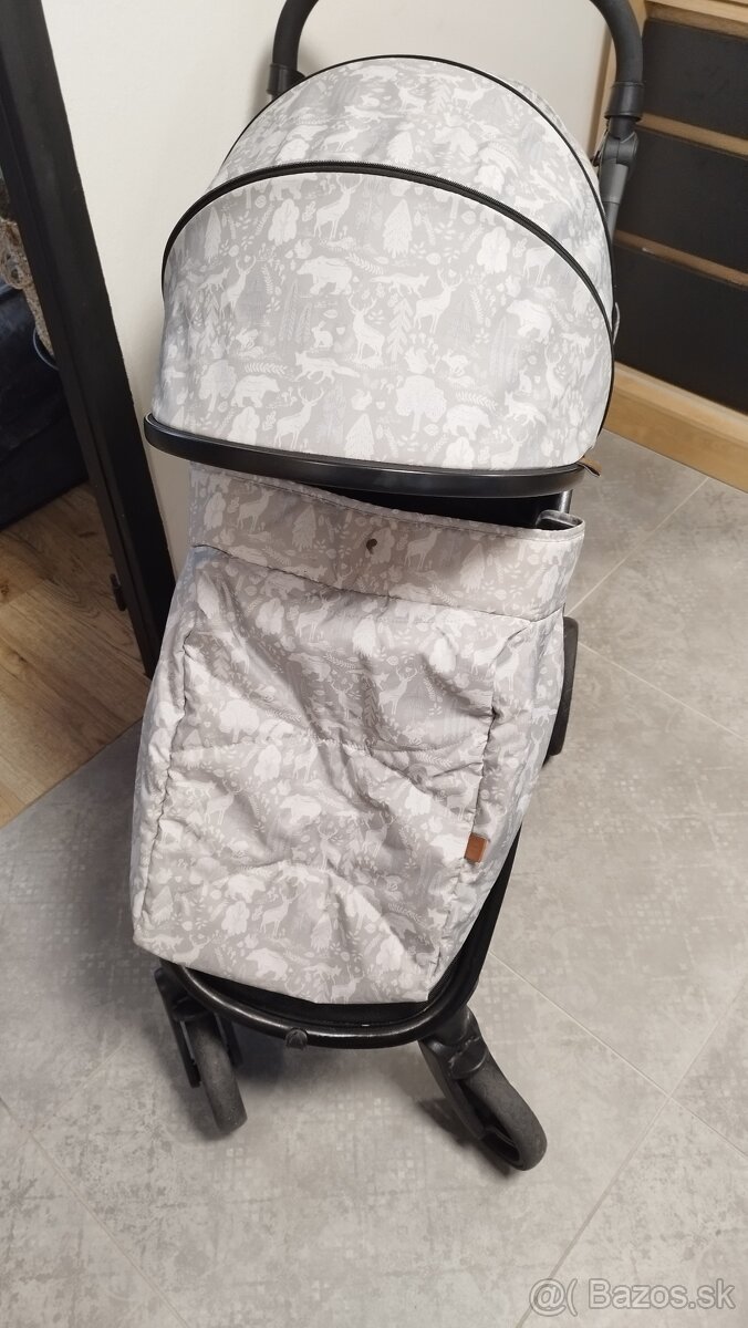 Kočik Lionelo /Petite-mars - 6