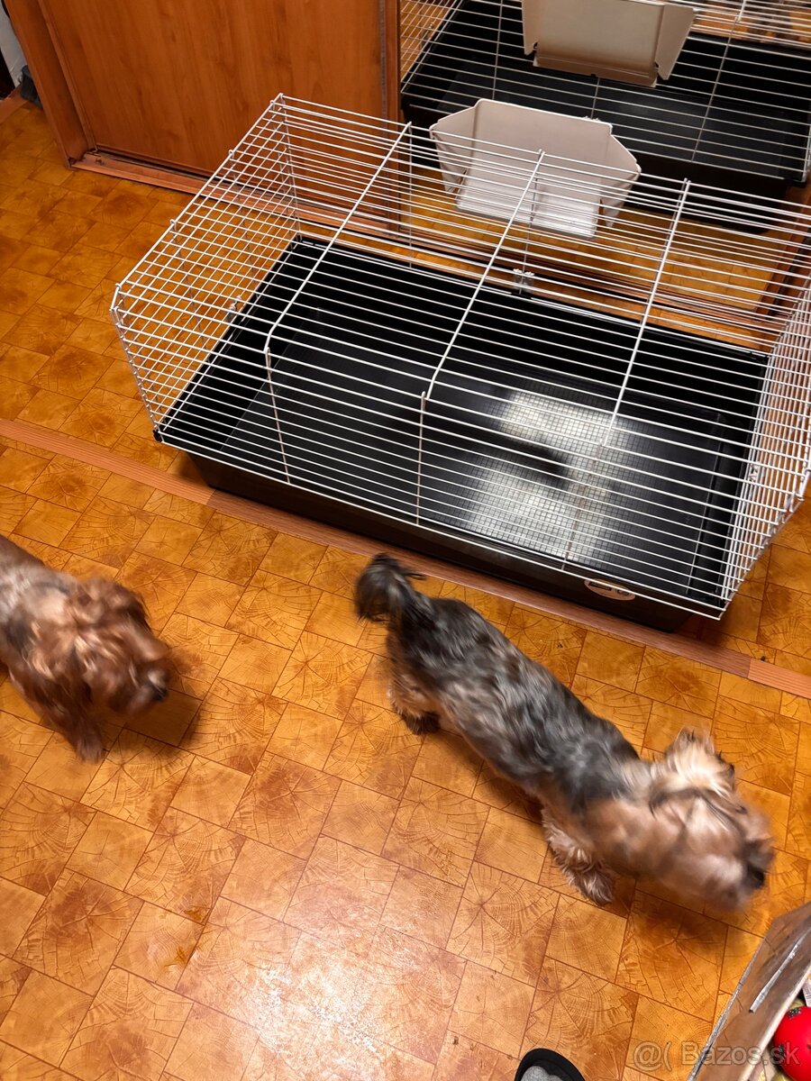 Klietka veľká - 6