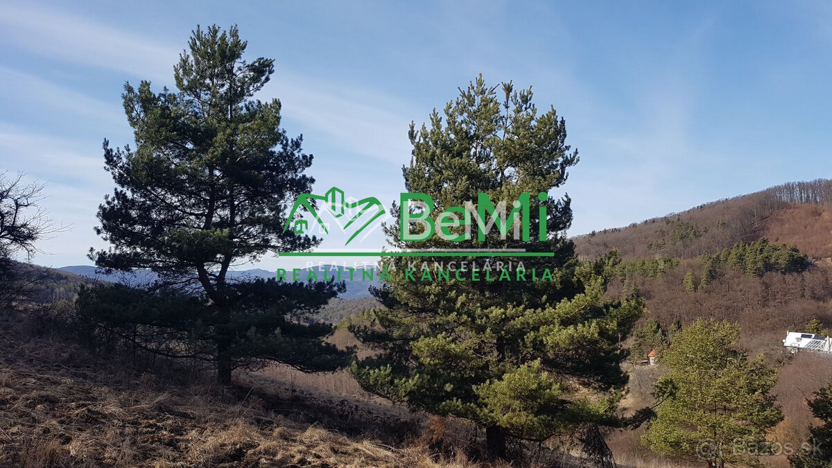 POZEMOK s prekrásnymi výhľadmi...Vyhne (057-14-DAR) - 6