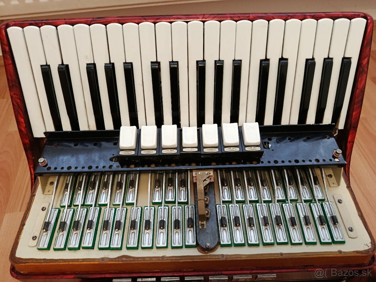 Delicia Carmen III, 96bas - 6