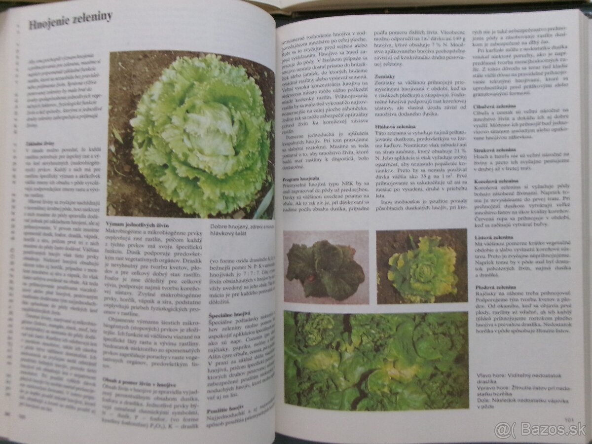 Jar, Leto, Jeseň, Zima v záhrade - komplet. - 6